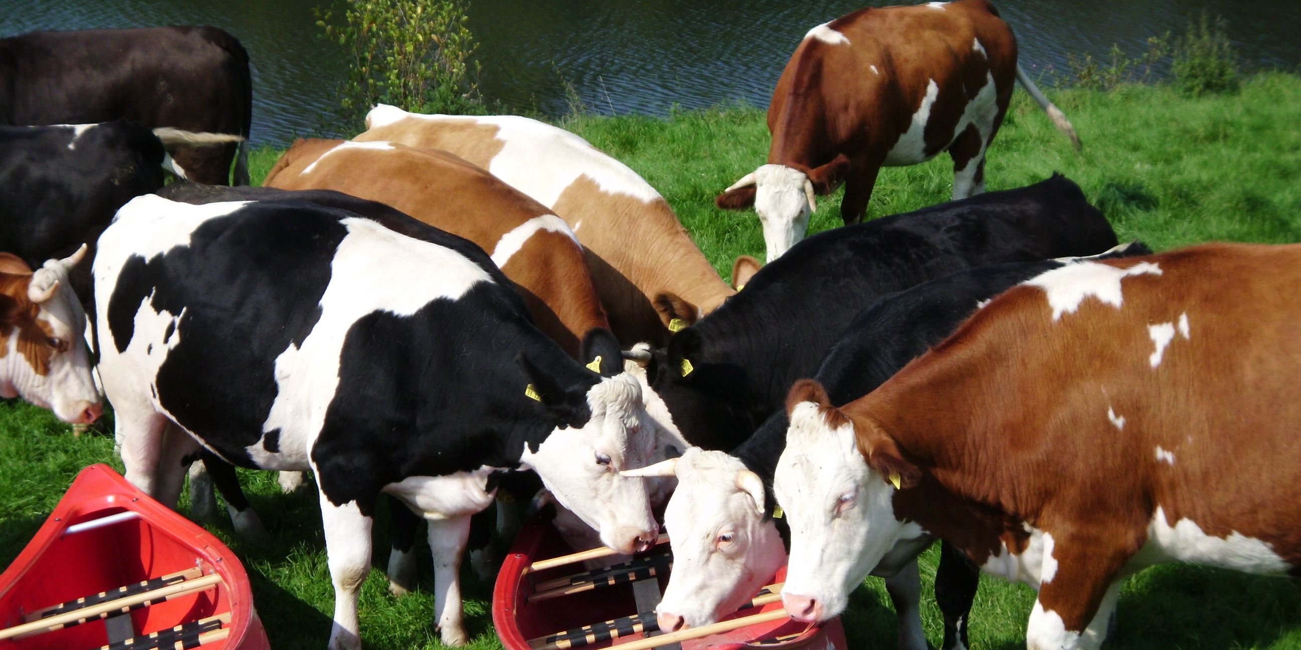 Klassentour Ohler Mühle